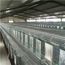 生产高质量兔笼子母兔笼多层兔笼养兔设备