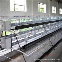 供应鸡笼专业制作批发鸡笼厂家生产