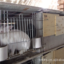 山东地区供应环保耐用型水泥兔笼