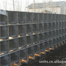 供应山东产优质子母兔笼/水泥兔笼