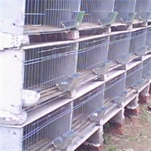 供应卓越牌水泥兔笼