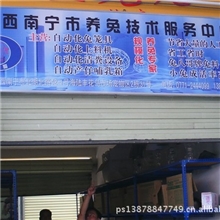 供应自动化兔笼自动化兔笼批发自动化兔笼生产