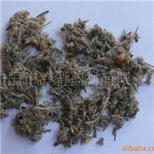 佛耳草|佛儿草|产地直销佛甲草|佛儿草批发零售