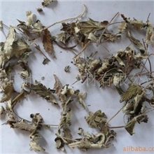 供应翻白草天青地白正品翻白草翻白草价格地骨皮地骨皮价格