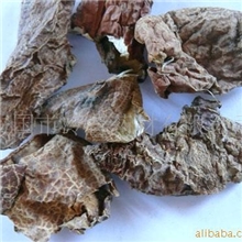 供应黄瓜皮金衣中药材批发|黄瓜皮批发|产地直销黄瓜皮