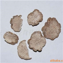 供应中药土瓜根土瓜王瓜根土狗|产地直销祛痘土瓜根批发零售