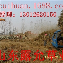 山东济宁大量供应（小尾寒羊）用豆秸秸秆粉