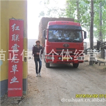 常年大量供应肉羊用优质豆秸粉（月销百吨）