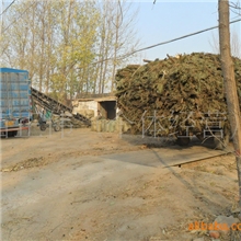 大量供应肉羊用优质花生秧（月百吨）