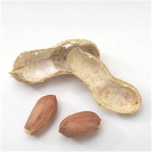 长期供应畜牧业养殖节能性原料花生秧动物饲料花生壳