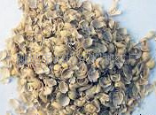 提供批量高质量黄豆皮大豆皮