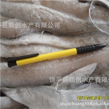 1-2带鱼国产带鱼带鱼带丝带鱼罐头带鱼饲料龟鳖蟹狐狸饲料