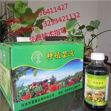 豆芽苗菜种植专用em菌种微生态菌剂