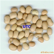 供应白豇豆（白眉豆）豆类缅甸进口豆类