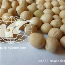 黄豌豆豌豆白豌豆青豌豆绿豌豆健康食品营养食品豆类