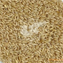 供燕麦填充物纺织填充物玩具plushtoys床上用品pillowfilling