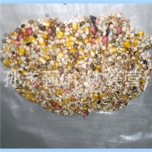 厂家专营成鸽专用营养饲料营养丰富【可混批销售】