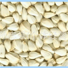 专营无毒红花子、优质红花子【价廉物美】