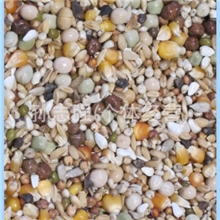 【物美价廉】优质赛飞饲料量大从优