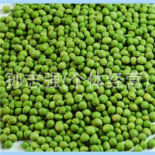批量销售优质绿豆【具有清热解毒的功效】