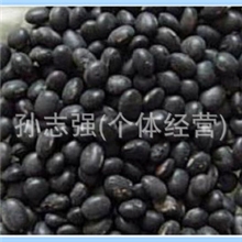 一级精选黑豆、直销优质黑豆欢迎选购（图）