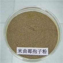 黑曲霉、黑曲霉孢子、米曲霉生物有机肥发酵剂生物肥料接种剂