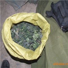 厂家直销1至100目海藻粉及原菜海藻