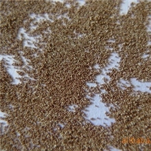 供应90%孵化率丰年虫卵虫卵