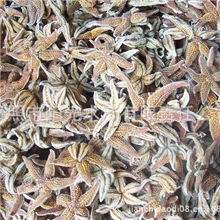 供应海星海五星小鱼干饲料小干鱼