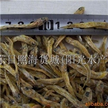 供应小干鱼小鱼干,食用小鱼食用鱼粉散装小鱼