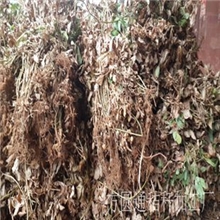 切断花生秧粗饲料