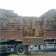 优质花生秧、稻草秸秆、养牛、羊、兔