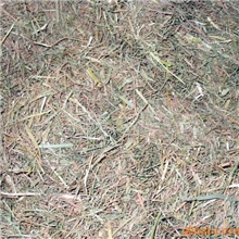 供应切断稻草秸秆
