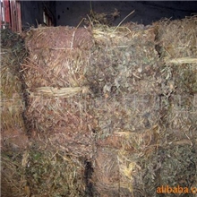 供应大量打包优质花生秧、养牛、羊、兔(图)