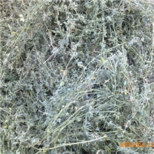 水分15%以内，优质三茬苜蓿草