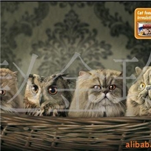 猫粮南极磷虾为原料适口性超好4元/斤