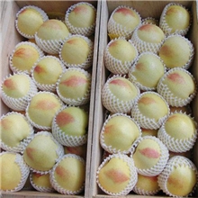 厂家直销大枣发泡网套新疆网套苹果网套水果保护套