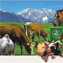 美国进口微生物饲料添加剂明新灵，绿色高效，促生长，增强抗病力