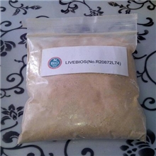 微生物饲料添加剂新生素，绿色高效，促生长，激化免疫增强抗病力