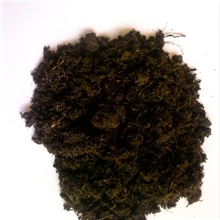 草炭、腐植酸、草炭土、微生物肥料