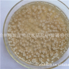 厂家供应生物有机肥发酵菌发酵粪便生活垃圾