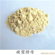 厂家直销水产动物饲料观赏鱼饲料破壁酵母