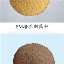 EM培养剂(菌种+培养基)