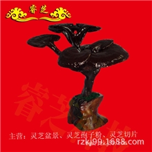 灵芝木雕盆景