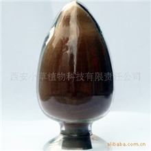 现货供应胖大海提取物10:1