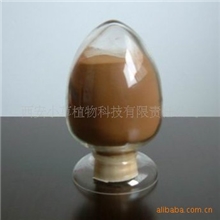 现货供应筋骨草提取物10：1