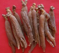 常年40支中药材红参质优价廉支持验货欢迎订购人参中药材