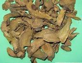 供应中药材/羊蹄根/按方抓中药/冷背药材/药都亳州中药材批发