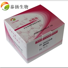 湖北泰扬化妆品快速检测，化妆品产品检测试剂盒厂家（招商）