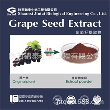 【热销】天然抗氧化原料葡萄籽提取物（原花青素95%）